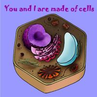 You and I are made of Cells 1520154720 Book Cover