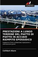 Prestazioni a Lungo Termine del Piatto Di Piatto in Acciaio Riempito Epossidico 6203099465 Book Cover