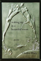 Waking Up in a Beautiful Room 1329200608 Book Cover