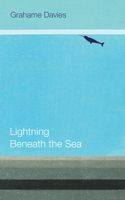 Lightning Beneath the Sea 1854115758 Book Cover