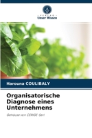 Organisatorische Diagnose eines Unternehmens: Gehäuse von CERIGE-Sarl 620404611X Book Cover