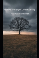 Where the light doesn't Stay B0FTXVZ9C3 Book Cover