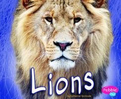 Lions 1429657820 Book Cover