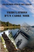 Tribulations d'un cadre noir (French Edition) 2414427744 Book Cover