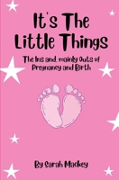 It's The Little Things: The Ins and, mainly Outs of Pregnancy and Birth B09FS12PV7 Book Cover