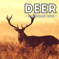Deer Calendar 2021: 16-Month Calendar, Cute Gift Idea For Deer Lovers Women & Men B0941XCTRH Book Cover