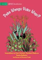 Where Is My Cat? - Paka Wangu Yuko Wapi? 1922876534 Book Cover