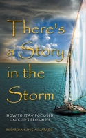 There's a Story in the Storm: How to stay focused on God’s promises 1664275894 Book Cover