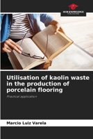 Utilisation of kaolin waste in the production of porcelain flooring 6207918614 Book Cover