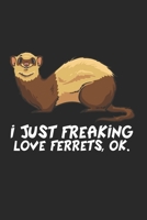 Frettchen Notizbuch: Frettchen Notizbuch für Liebhaber / Notizheft / Notizblock A5 (6x9in) Dotted Notebook / Punkteraster / 120 gepunktete Seiten (German Edition) 167131722X Book Cover