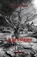 La promesse (Littératures) (French Edition) B01J9FX9AE Book Cover
