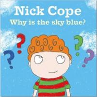 Why Is The Sky Blue? 1912213524 Book Cover