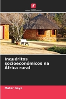 Inquéritos socioeconómicos na África rural 6206226158 Book Cover