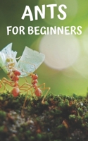 Ants for beginners: Guide to successfully keep ants in an ant farm for novices B0BW32CSLJ Book Cover