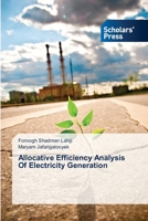 Allocative Efficiency Analysis of Electricity Generation 3639718542 Book Cover