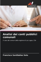 Analisi dei conti pubblici comunali (Italian Edition) 6206477533 Book Cover