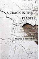 A Crack in the Plaster 1948046393 Book Cover