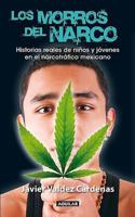 Los morros del narco / Narco Youth 6071109396 Book Cover