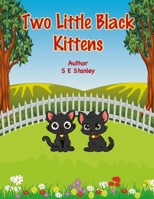 Two Little Black Kittens: A Bedtime Story Book B0CVZV9G41 Book Cover