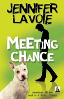 Meeting Chance 1602829527 Book Cover