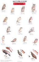 Mac's Field Guide to Birds of Prey of North America (Mac's Guides) B00741FGDO Book Cover