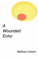 A Wounded Echo 0595333419 Book Cover