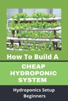 How To Build A Cheap Hydroponic System: Hydroponics Setup Beginners: Compact Hydroponics B08Z2GX64Q Book Cover