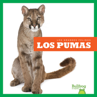 Los pumas (Cougars) (Bullfrog Books Spanish Edition) (Los Grandes Felinos/ Big Cats) 1645278727 Book Cover