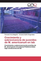 Crecimiento y sobrevivencia de juveniles de M. americanum en lab: Crecimiento y sobrevivencia de juveniles de M. americanum (Crustacea:Palaemonidae) bajo condiciones de lab 6200343594 Book Cover