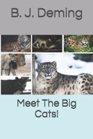 Meet The Big Cats! 1671641221 Book Cover