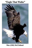 Eagle That Walks 1519134444 Book Cover