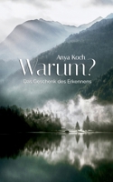 Warum?: Das Geschenk des Erkennens 3753429015 Book Cover