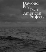 Dawoud Bey: Two American Projects 0300248504 Book Cover