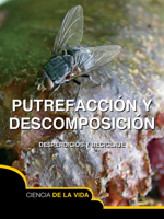 Putrefacción y descomposición: Rot and Decay 1627173323 Book Cover