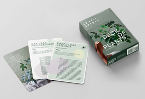 Leaf Supply Deck of Plants: 50 Indoor Plant Profiles 1922417432 Book Cover