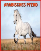 Arabisches Pferd: Erfahre mehr über Arabisches Pferd und freue dich an den farbenfrohen Bildern B08WS2L468 Book Cover