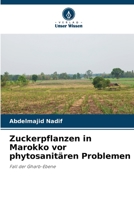 Zuckerpflanzen in Marokko vor phytosanitären Problemen: Fall der Gharb-Ebene 6203165808 Book Cover