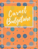 Carnet Budg�taire: Carnet De D�pense/Recettes & Comptes Toute Une Ann�e Edition en Couleurs Dim A4 1677154756 Book Cover