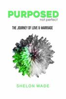 25 to Life : Our Journey of Love and Marriage 1734116943 Book Cover