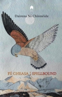 Spellbound : Fé Gheasa 1851321624 Book Cover