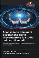 Analisi delle immagini ecografiche per il rilevamento e lo studio dei calcoli renali (Italian Edition) 6209341098 Book Cover