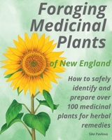 Foraging Medicinal Plants of New England: How to safely identify and prepare over 100 medicinal plants for herbal remedies B0B6MYD24Q Book Cover