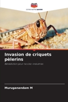 Invasion de criquets pèlerins (French Edition) 333033343X Book Cover