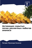 Активация скрытых почек различных побегов ананаса 6205953358 Book Cover