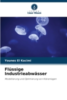 Flüssige Industrieabwässer: Modellierung und Optimierung von Kläranlagen 6205884852 Book Cover