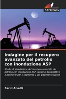 Indagine per il recupero avanzato del petrolio con inondazione ASP (Italian Edition) 6209012523 Book Cover