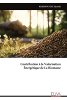 Contribution à la Valorisation Énergétique de La Biomasse (French Edition) 999934545X Book Cover