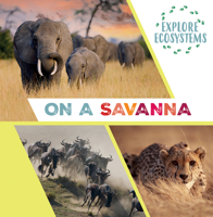 On a Savanna 1482478803 Book Cover
