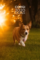 Planner: Increase productivity, improve time management, reach your goals: Cute Corgi at sunset: Modern artistic photography style cover design (Diary) 1692266233 Book Cover