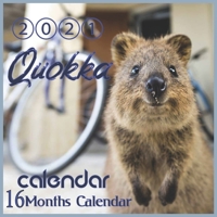 2021 Quokka Calendar: short-tailed scrub wallaby Australian Animal "8.5x8.5" Inch Wall 2021 Calendar B08NDZ3JVJ Book Cover